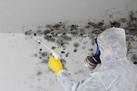 Trusted Charles Town, WV Mold Remediation Experts